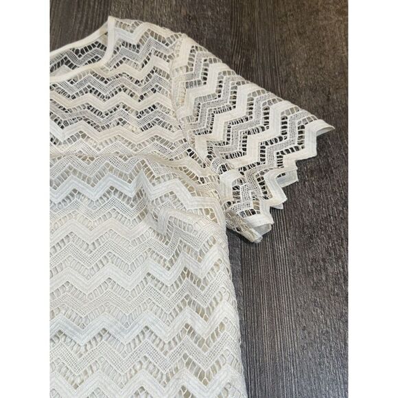 LOFT Ann Taylor Women's Lace Dress Size 8 Ivory Short Sleeve Zipper Back Midi - Picture 7 of 16